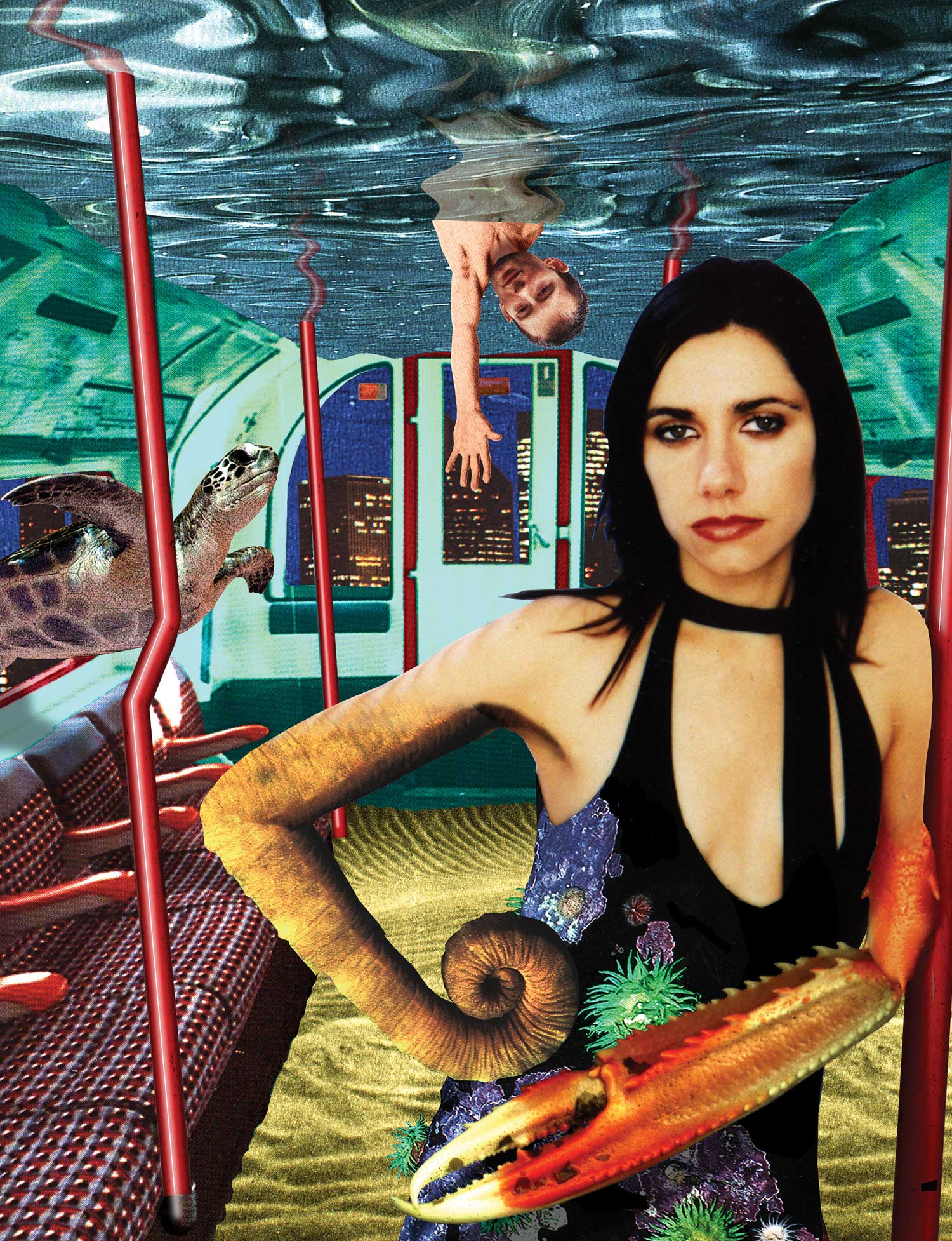 PJ Harvey | Stories From The City, Stories From The Sea – Limited Edition Print